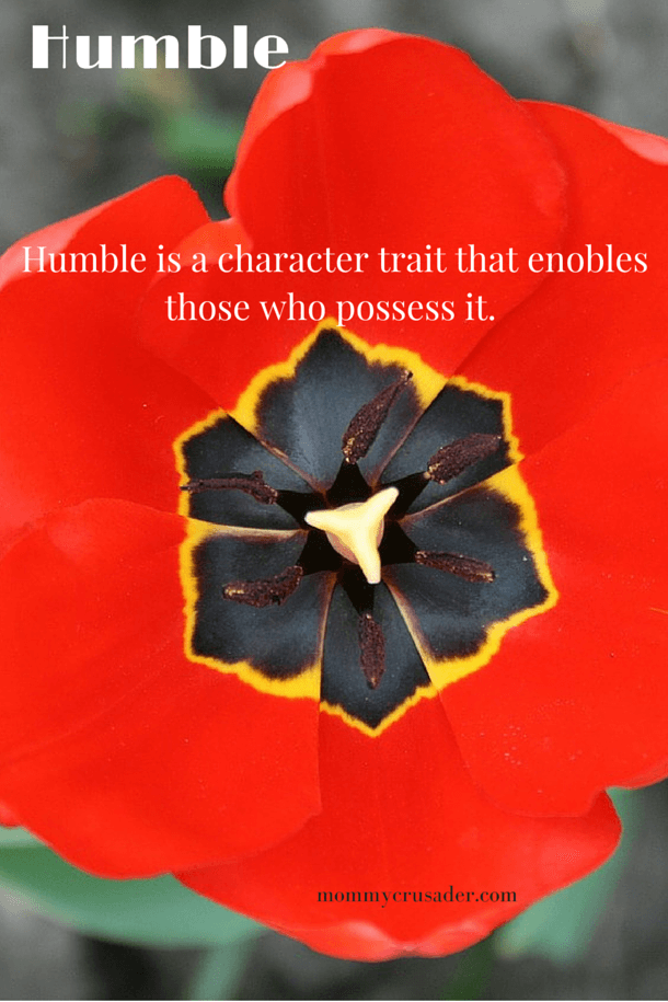 Life is helping me focus on being humble recently. I've noticed there are many definitions to the word humble. Here are a few of my thoughts about "humble".